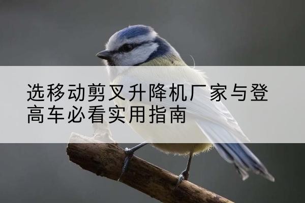 焉耆电动升降机厂家-选移动剪叉升降机厂家与登高车必看实用指南