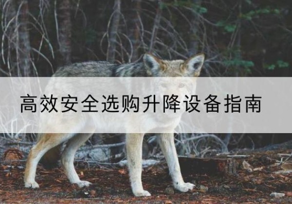 焉耆升降货梯厂家推荐-*安全选购升降设备指南