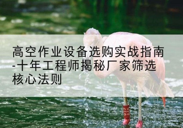 焉耆剪叉式升降机厂家-高空作业设备选购实战指南-十年工程师揭秘厂家筛选核心法则